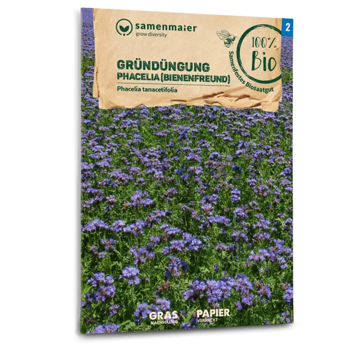 samen-maier-bio-gr-nd-ngung-phacelia-bienenfreund-samen image 1