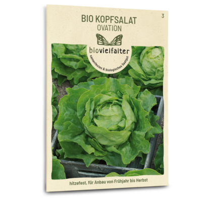 samen-maier-bio-kopfsalat-ovation-saatgut image 3