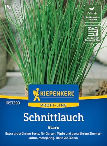 kiepenkerl-schnittlauch-staro-1057390-kr-utersaat image 7