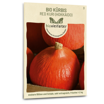 samen-maier-bio-k-rbis-red-kuri-hokkaido-k-rbissamen image 3