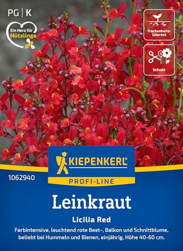 kiepenkerl-leinkrautsamen-licilia-red-1062940-sommerblumensaat image 8