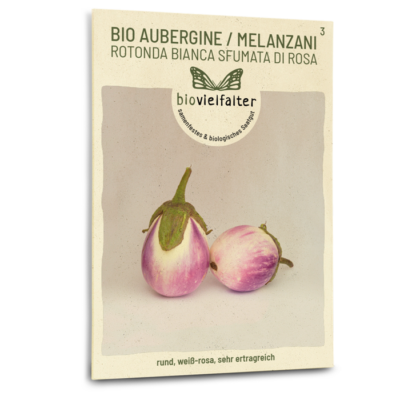 samen-maier-bio-aubergine-rotonda-bianca-sfumata-di-rosa-gem-sesamen image 3