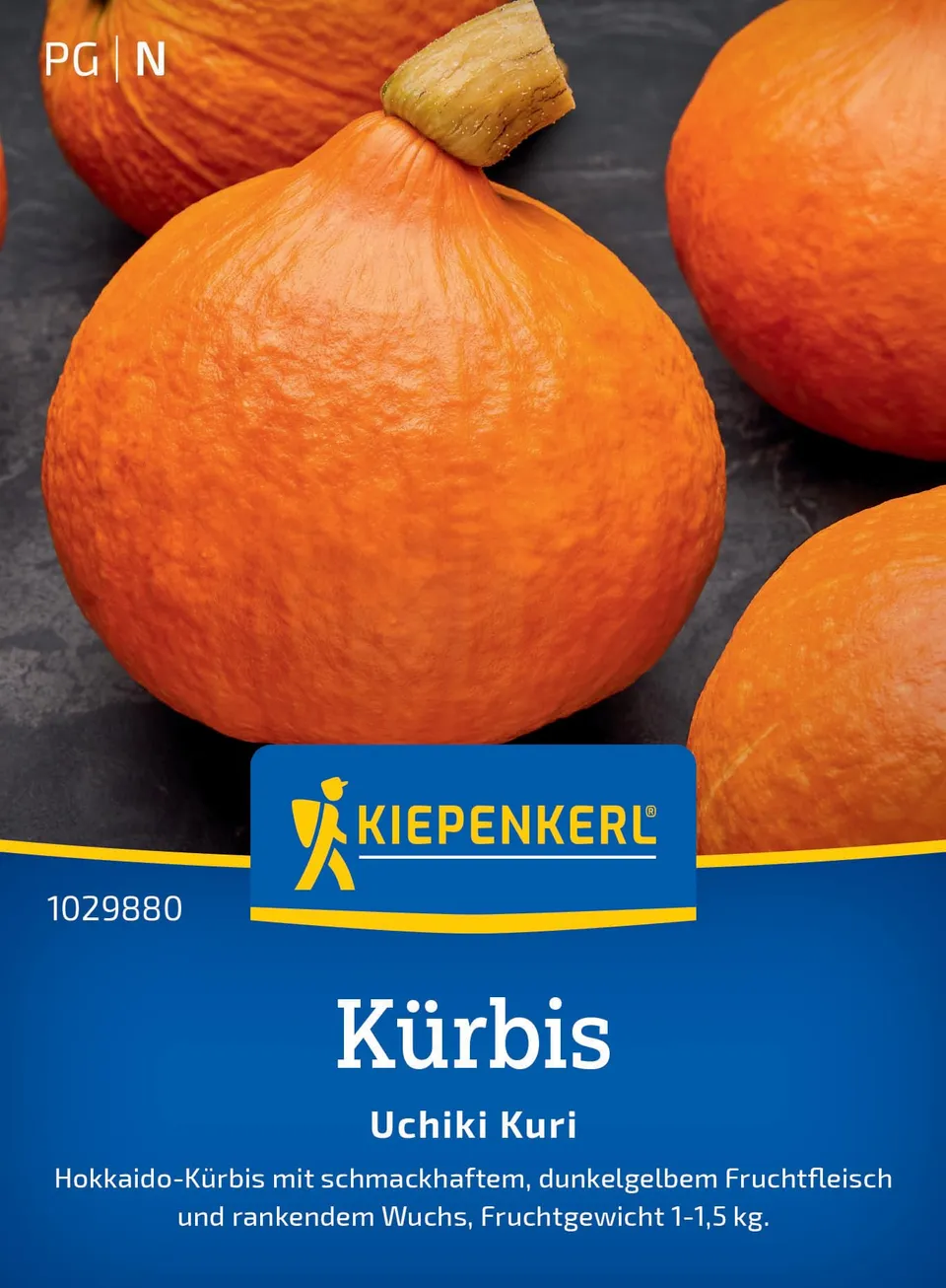 kiepenkerl-uchiki-kuri-k-rbis-hokkaido-gem-sesamen image 1