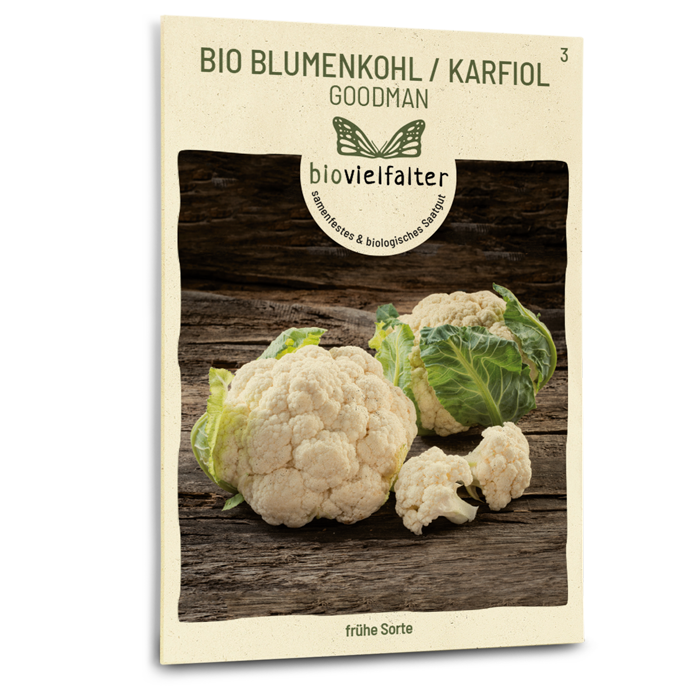 samen-maier-bio-blumenkohl-karfiol-goodman-samen image 1
