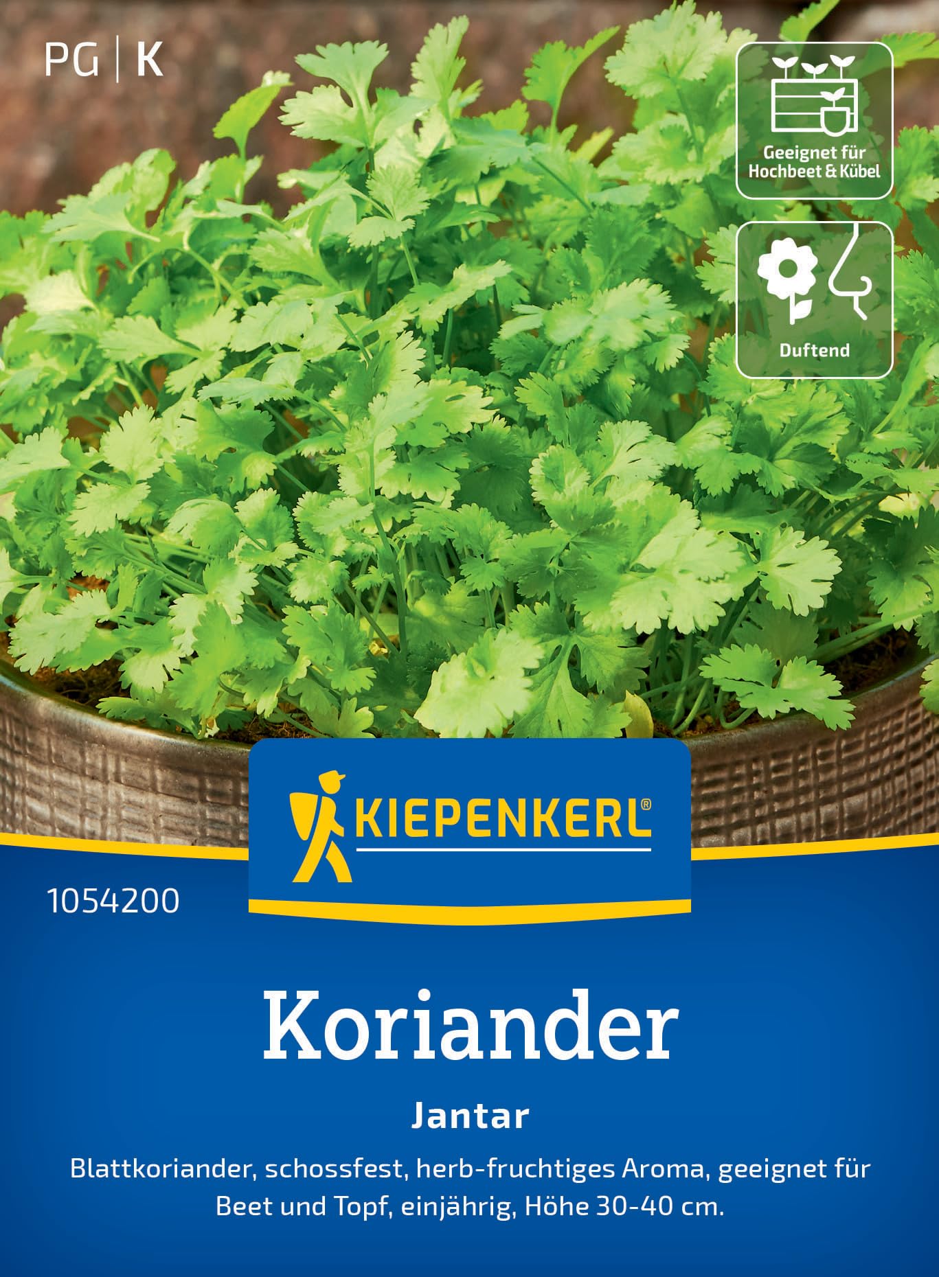 kiepenkerl-koriander-jantar-1054200-kr-utersamen image 1
