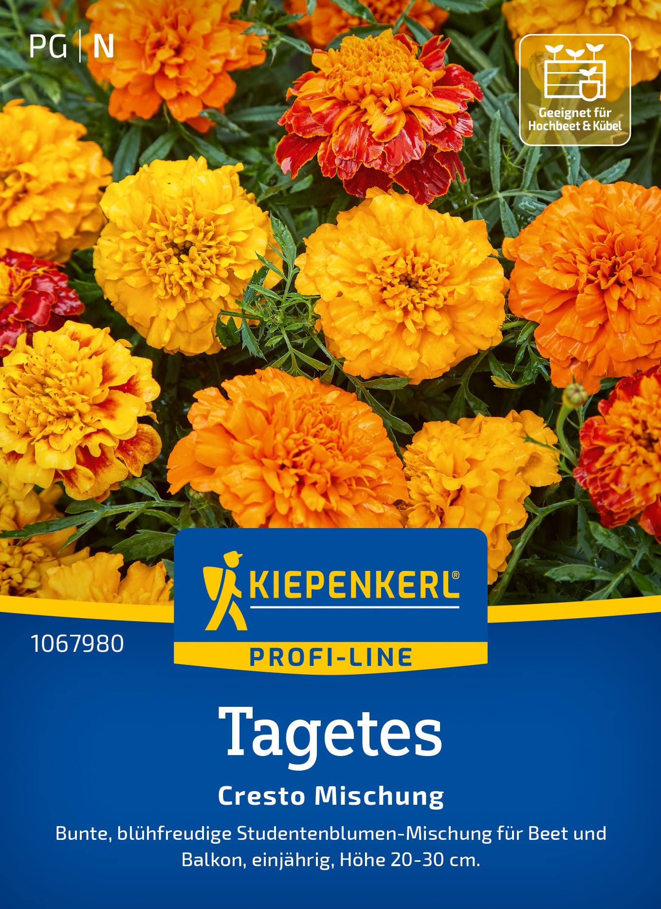 kiepenkerl-tagetessamen-cresto-mischung-1067980-blumensaat image 1