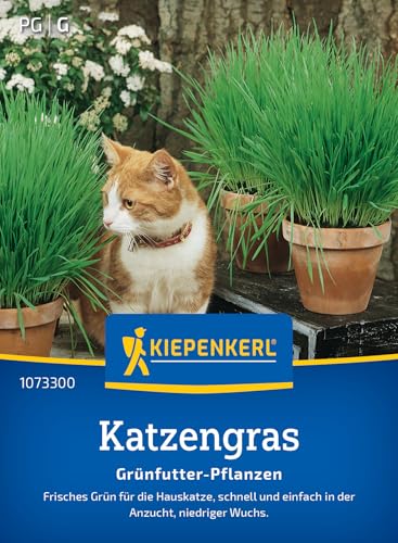 kiepenkerl-katzengrassamen-frischgr-n-mischung-1073300-pflanzensamen image 7