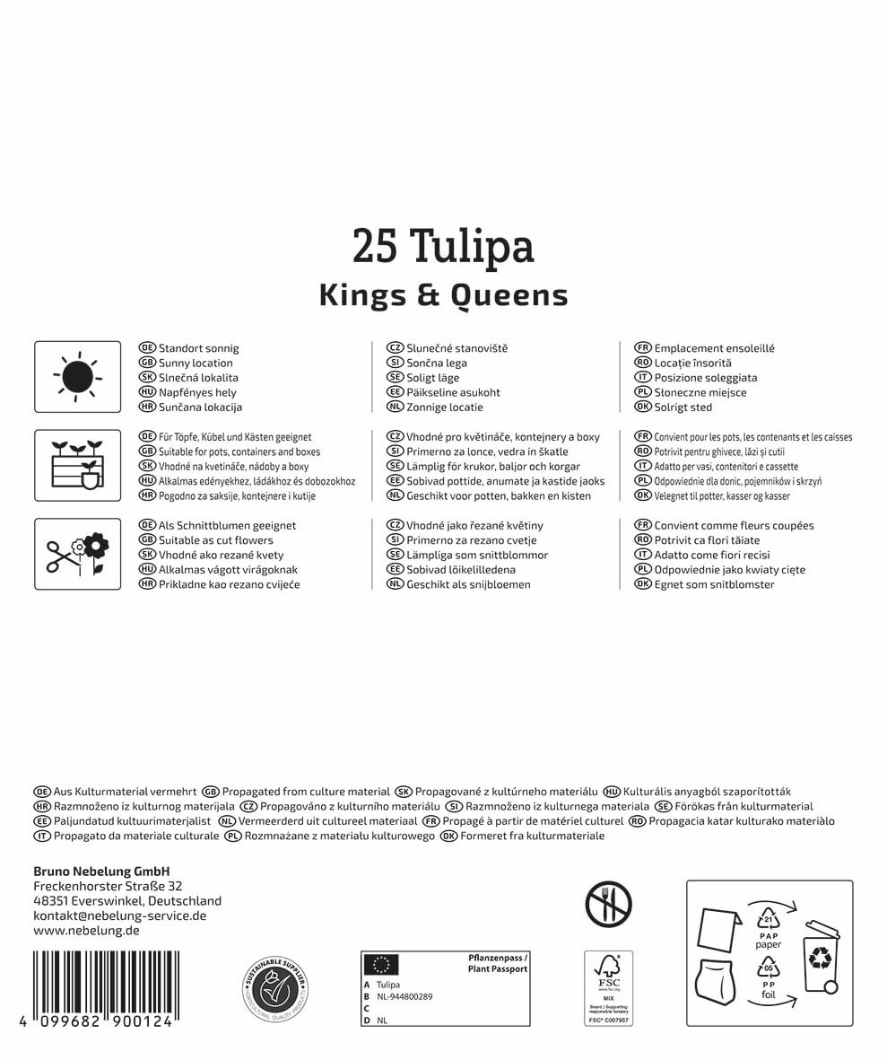 kiepenkerl-tulpenzwiebeln-kings-queens-mega-pack-25-zwiebeln image 2