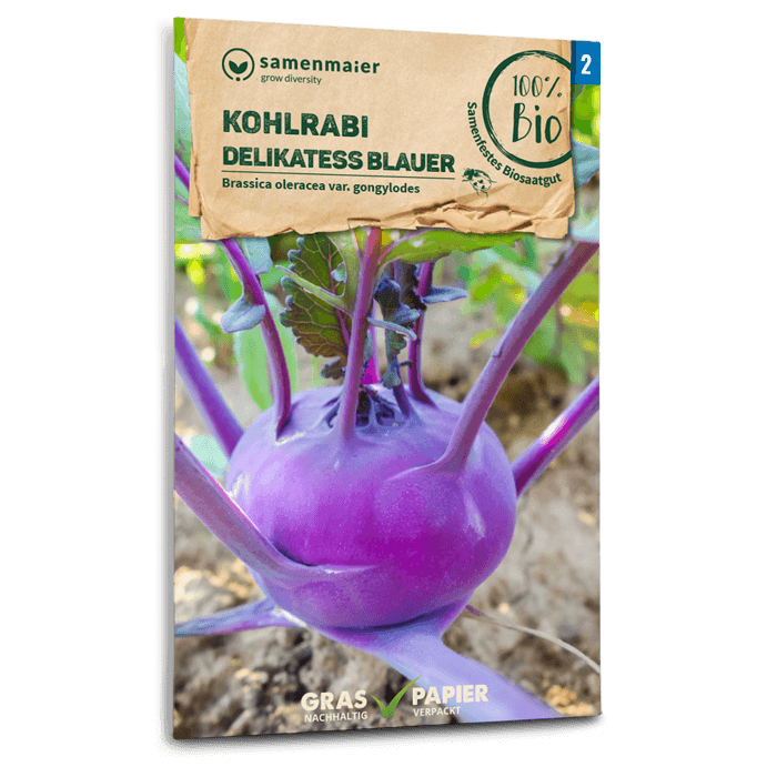 samen-maier-bio-kohlrabi-delikatess-blauer-gem-sesamen image 1