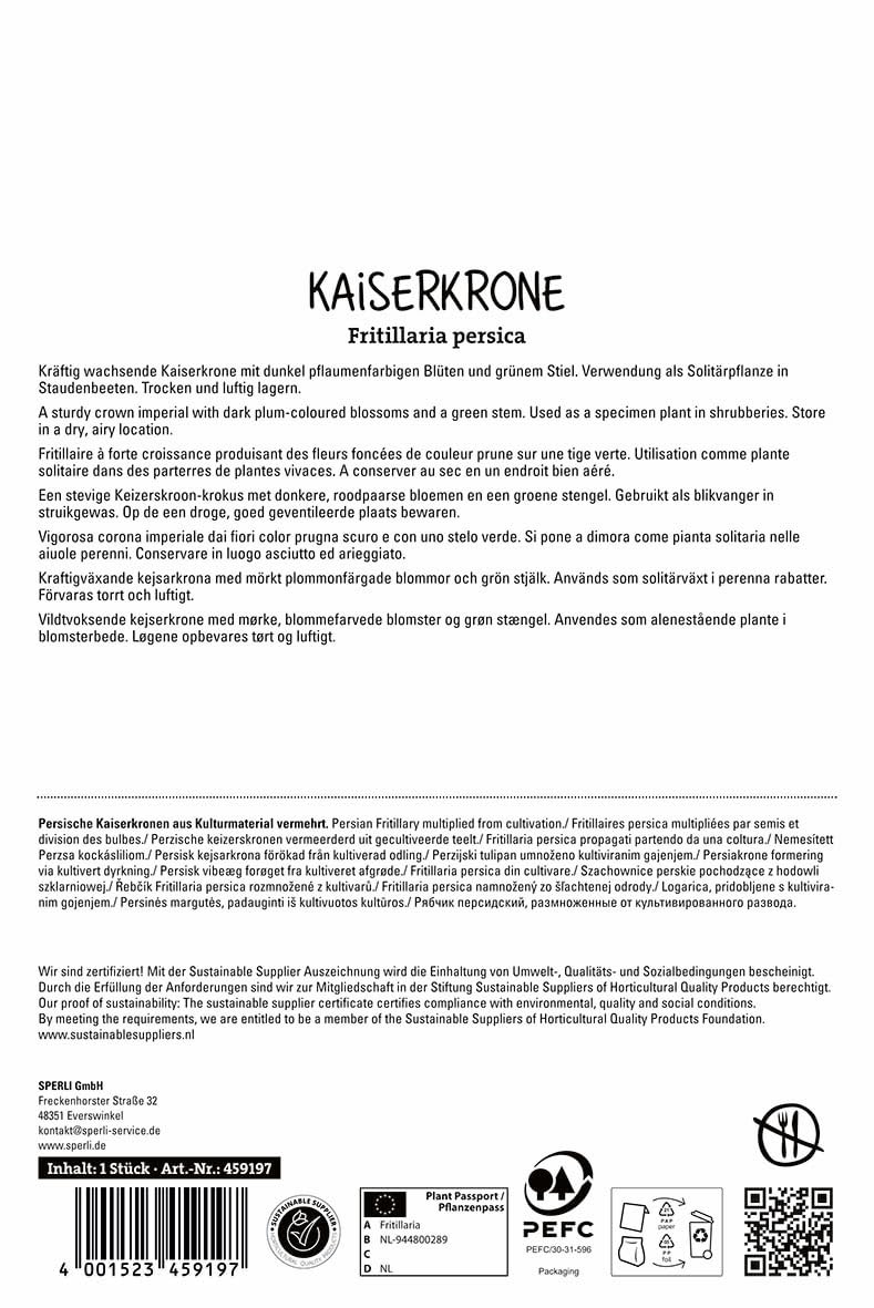 sperli-persische-kaiserkrone-adiyaman-459197-80-cm-violettschwarz image 2