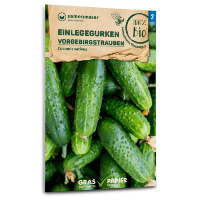 samen-maier-bio-einlegegurken-vorgebirgstrauben-saatgut image 3