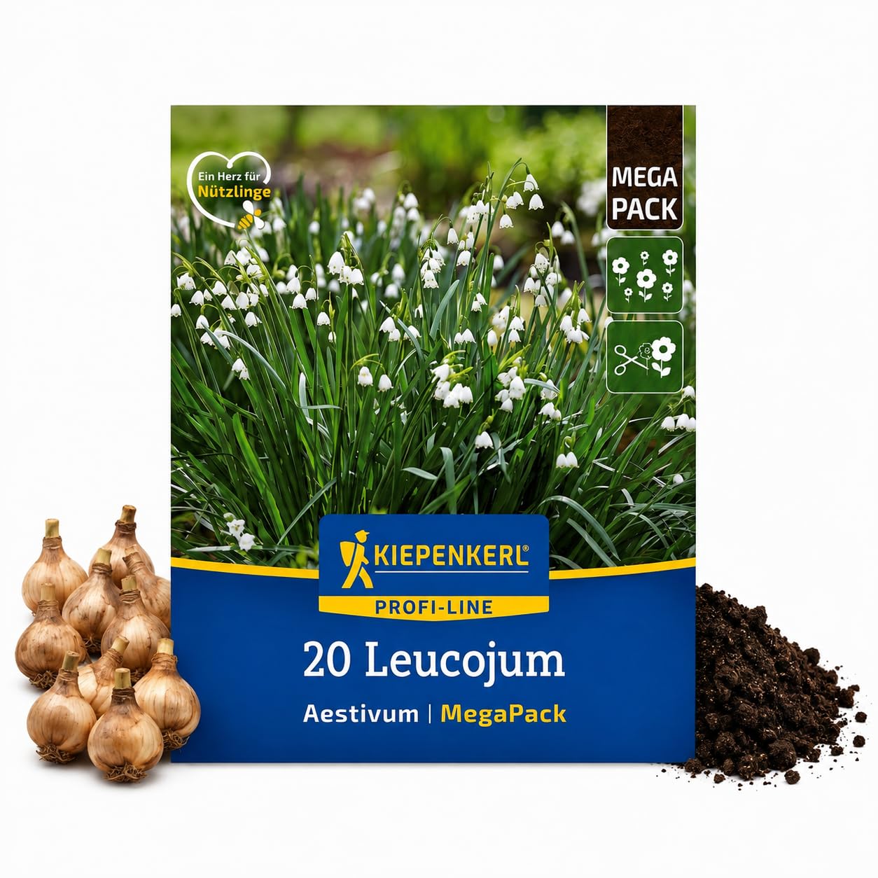kiepenkerl-sommerknotenblume-leucojum-aestivum-mega-pack-20-pflanzen-wei image 1