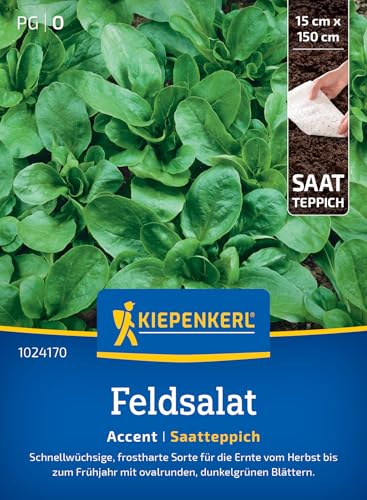 kiepenkerl-feldsalatsamen-accent-frosthart-nussig image 4