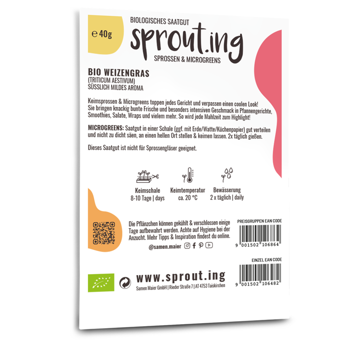 samen-maier-bio-sprossen-microgreens-weizengras image 2