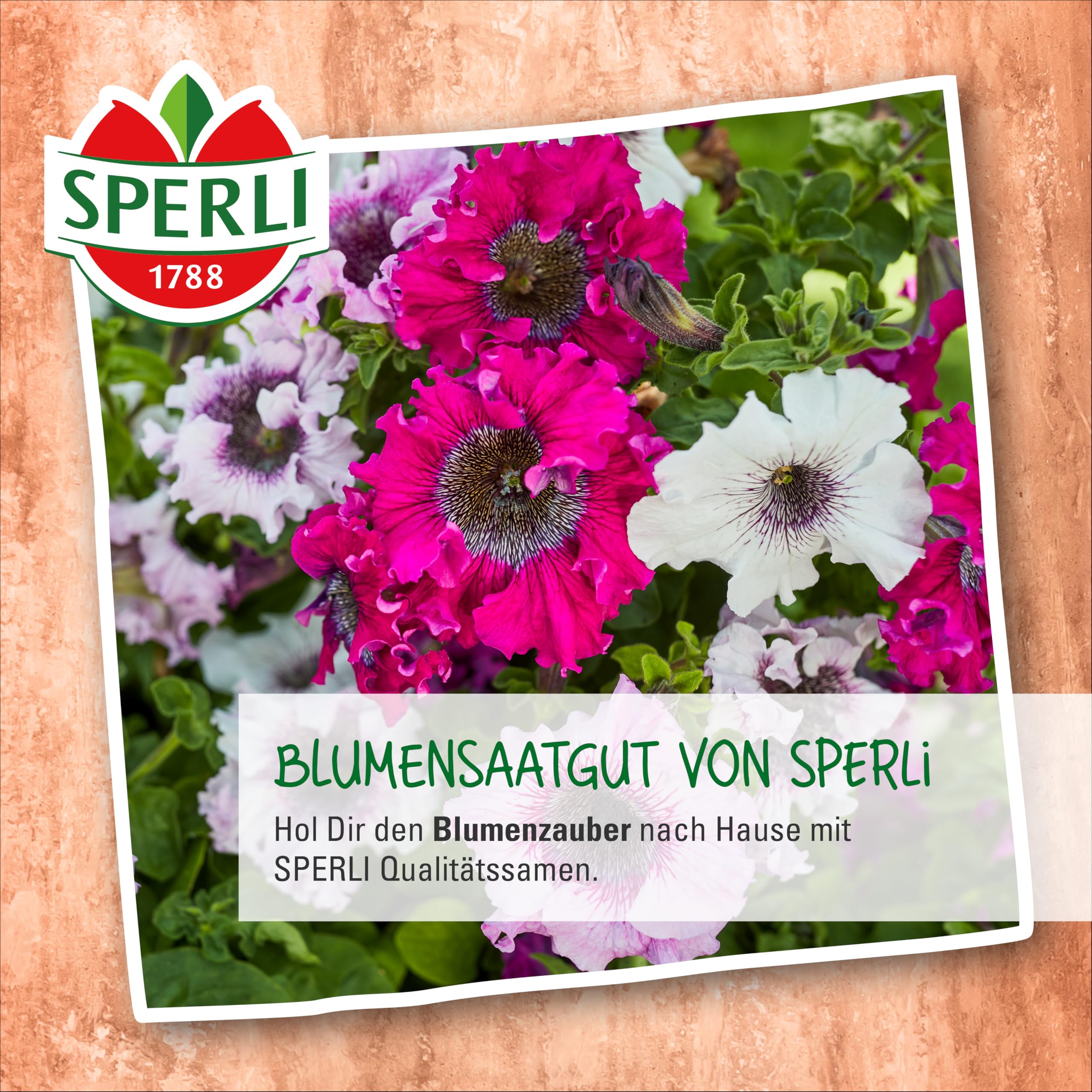 sperli-islandmohn-zauberspiel-86135-blumensaat-f-r-pastellfarbene-bl-ten image 4
