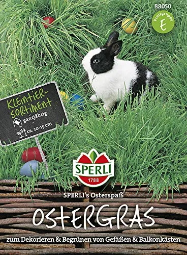 sperli-ostergras-osterspa-schnellw-chsige-grassamen image 1