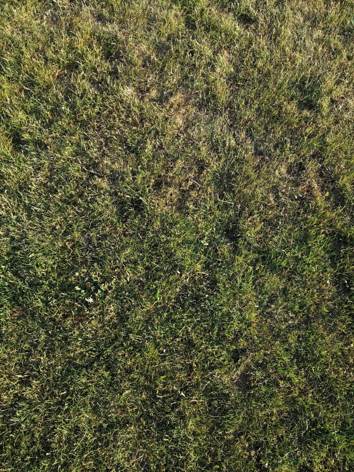 Sportplatz-Feeling