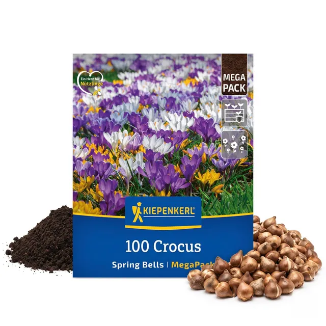 kiepenkerl-krokuszwiebeln-spring-bells-mega-pack-100-gartenkrokusse image 1
