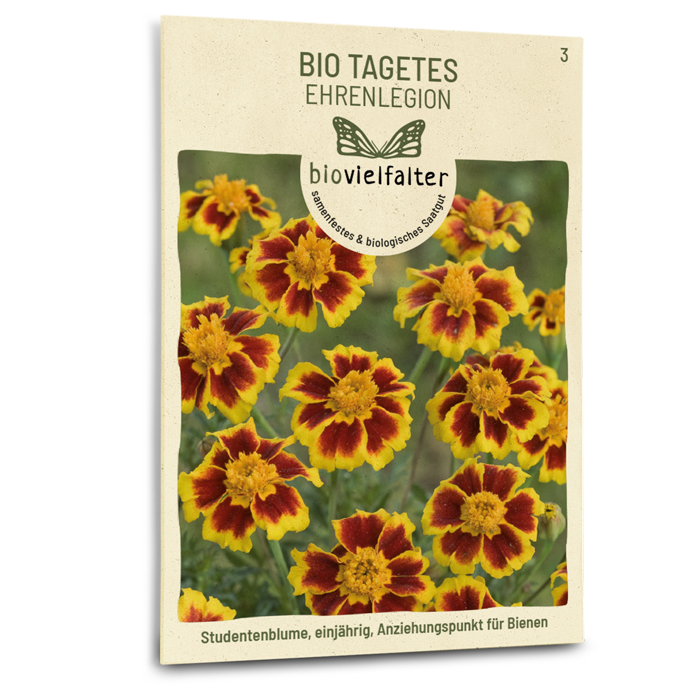 samen-maier-bio-tagetes-ehrenlegion-blumensamen-20-30-cm image 1