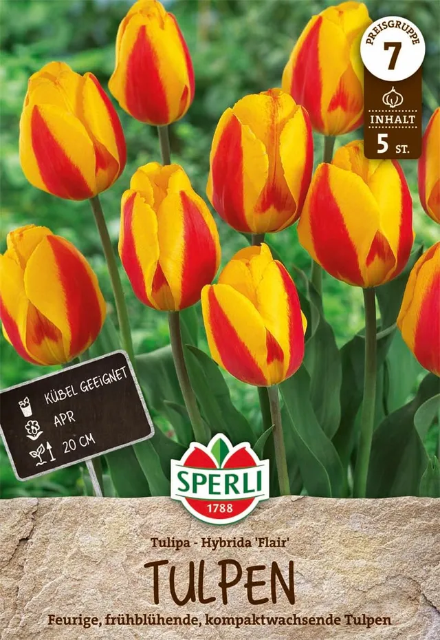 sperli-einfache-fr-he-tulpe-flair-rot-gelb-zweifarbig-april-bl-te image 1