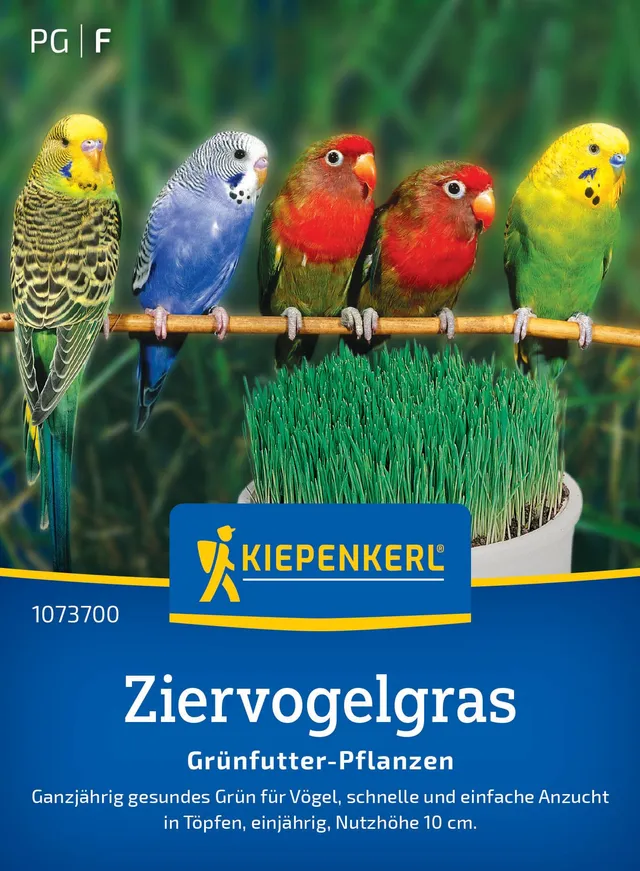 kiepenkerl-ziervogelgrassamen-frischgr-n-mischung-1073700-saatgut image 1
