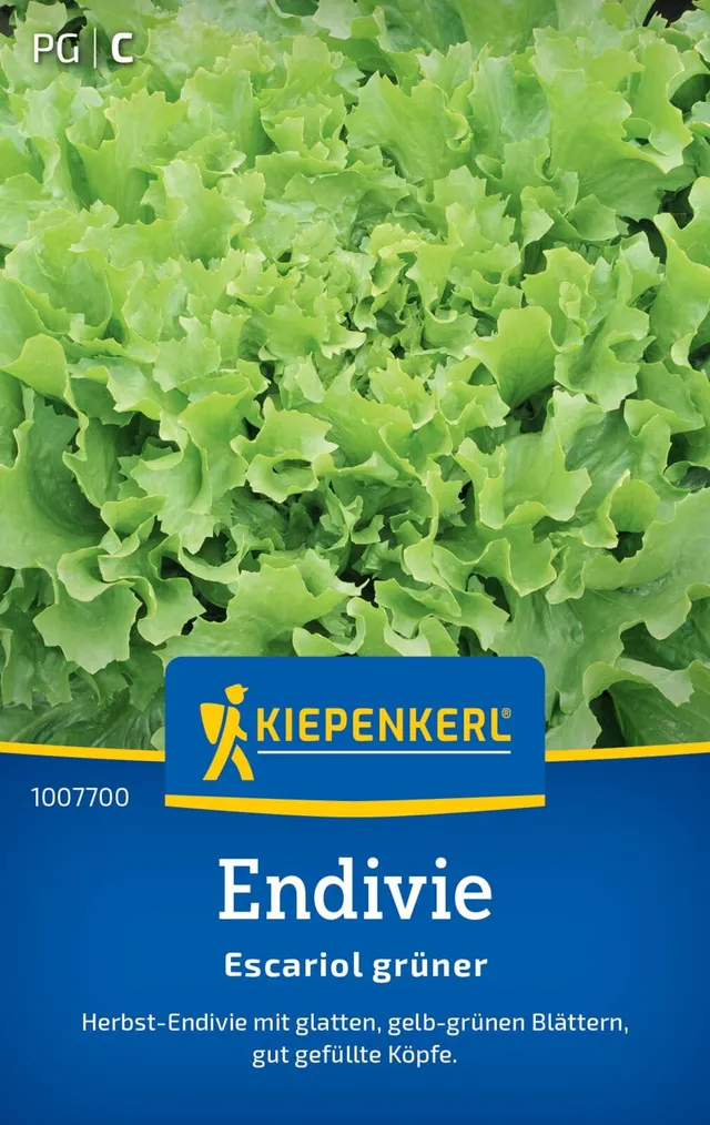 kiepenkerl-endiviensalat-breedblad-volhart-winter-303 image 1