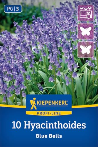kiepenkerl-profi-line-hasengl-ckchen-blue-bells-blaue-fr-hbl-her image 8