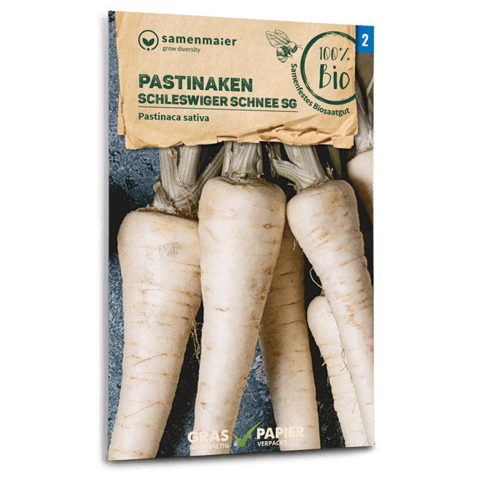samen-maier-bio-pastinaken-schleswiger-schnee-gem-sesamen image 1