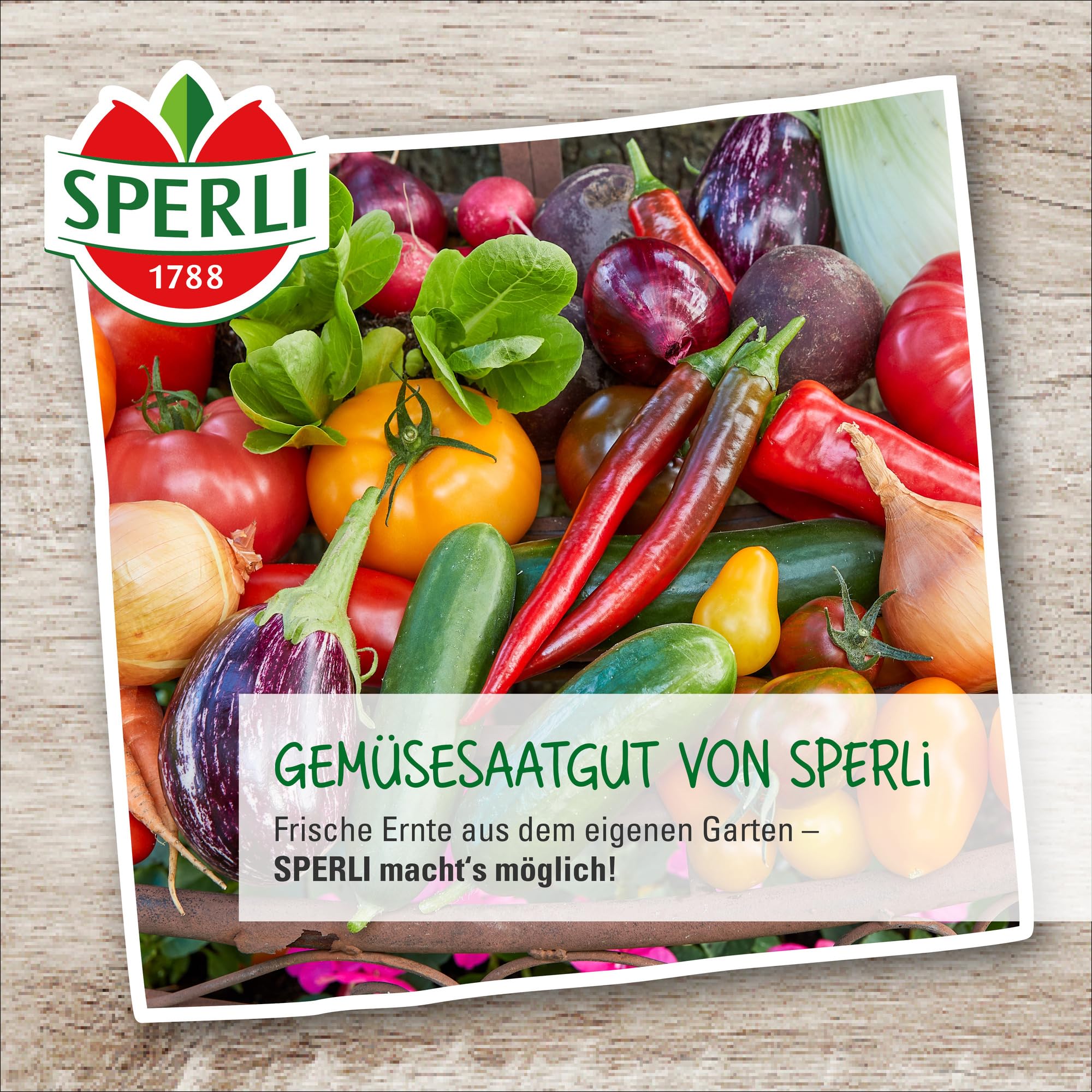 sperli-zitronengurke-lemon-80854-gem-sesaat image 4