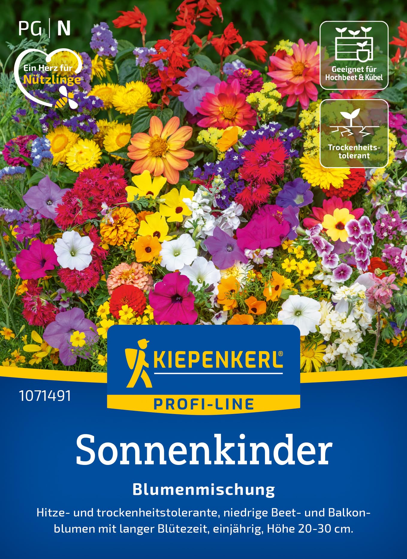 kiepenkerl-blumenmischung-peters-farbexplosion-sommerblumensaat image 8