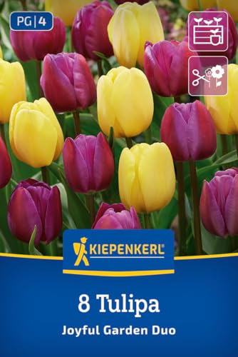kiepenkerl-tulpenmischung-joyful-garden-2775033-gelb-lila-40-50-cm image 8