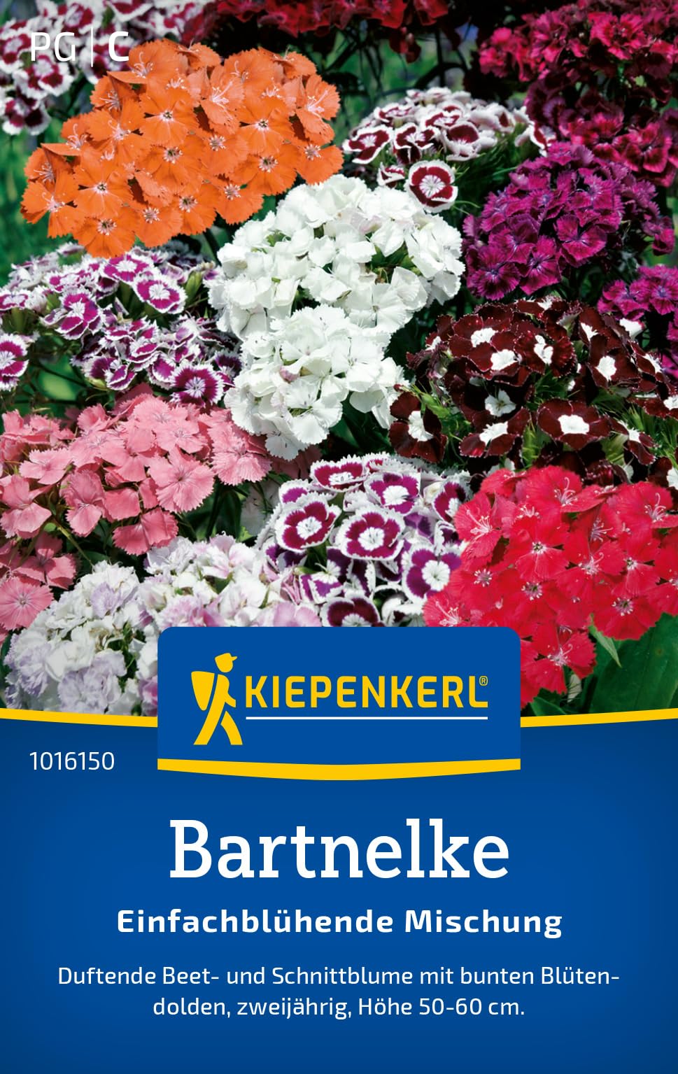 kiepenkerl-stockrosensamen-chater-s-mischung-1017850 image 7