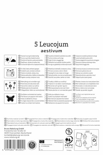 kiepenkerl-sommerknotenblume-leucojum-aestivum-2775021-wei-e-glockenbl-ten-f-r-h image 8