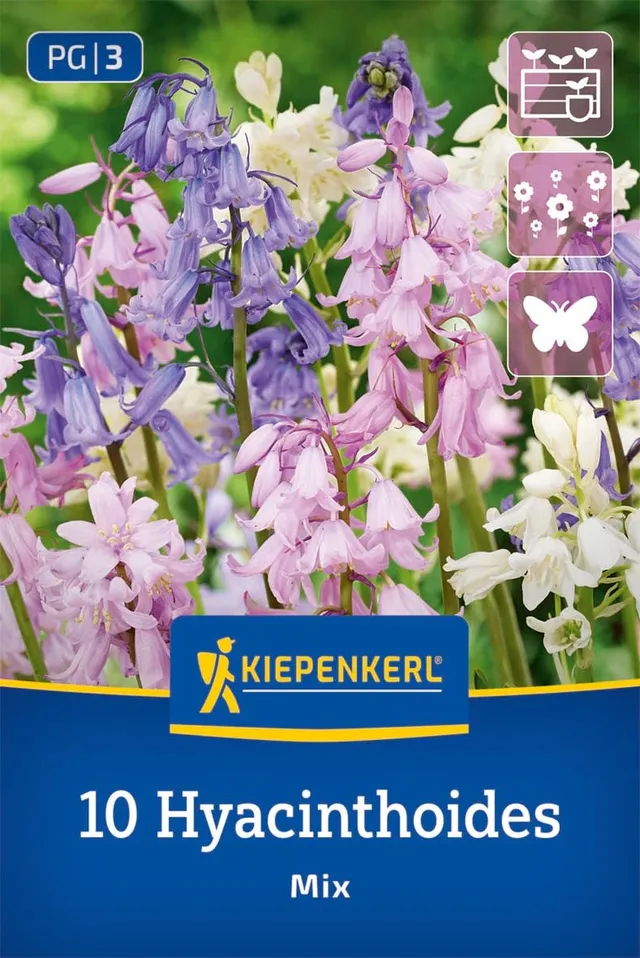 kiepenkerl-hasengl-ckchen-mischung-2775014-dreifarbige-blumenzwiebeln-winterhart image 1