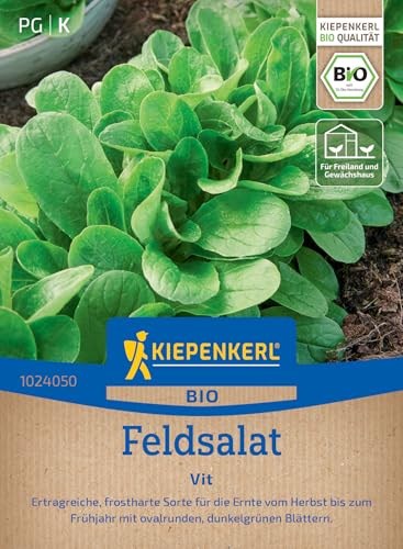 kiepenkerl-bio-feldsalat-vit-1024050-gem-sesaat image 7
