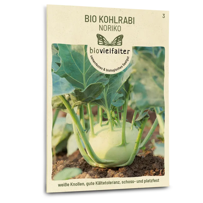 samen-maier-bio-kohlrabi-noriko-saatgut-fr-he-sorte image 1