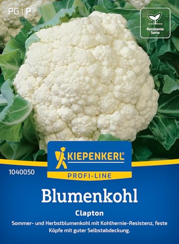 kiepenkerl-blumenkohl-clapton-1040050-gem-sesaat image 7