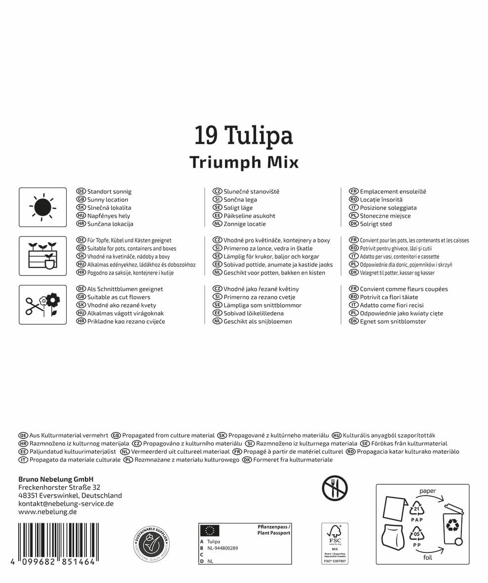 kiepenkerl-mega-pack-triumph-tulpen-mischung-blumenzwiebeln-19-st-ck-zweifarbig- image 2