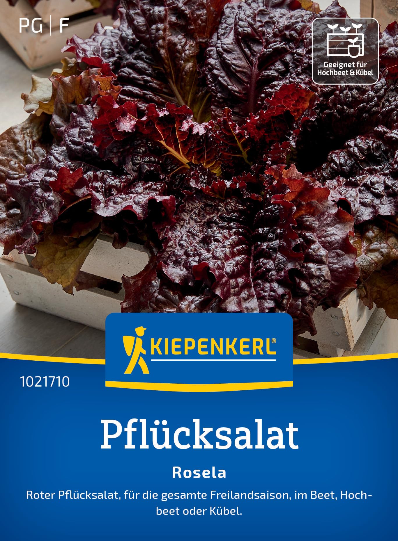 kiepenkerl-pfl-cksalat-rosela-1021710-gem-sesaat image 1