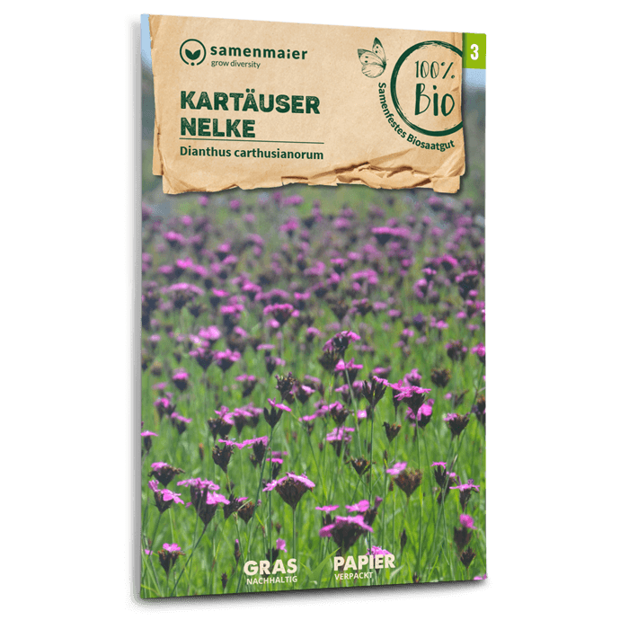 samen-maier-bio-wildblumen-kart-user-nelke-blumensamen image 1