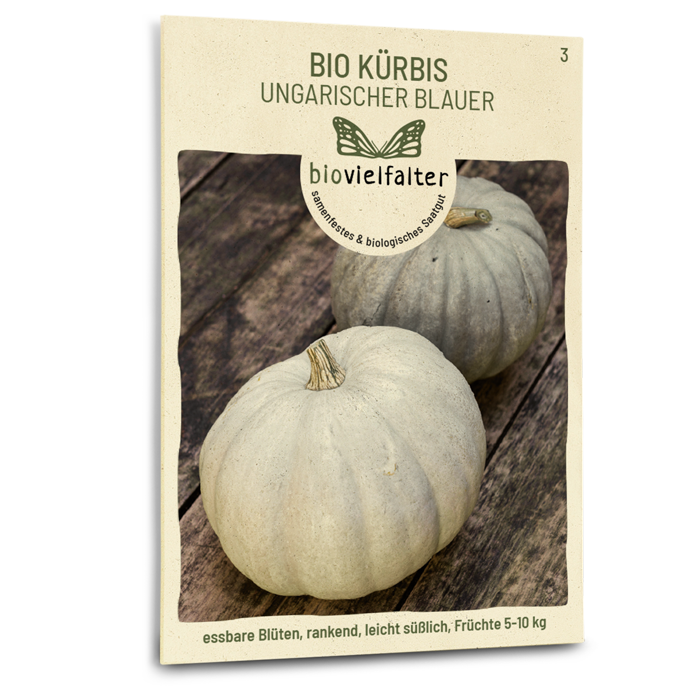 samen-maier-bio-k-rbis-ungarischer-blauer-saatgut image 1