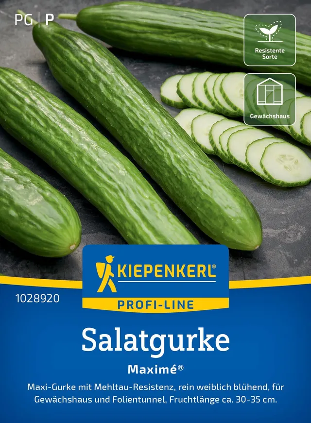 kiepenkerl-salatgurke-maxim-gem-sesaatgut image 1