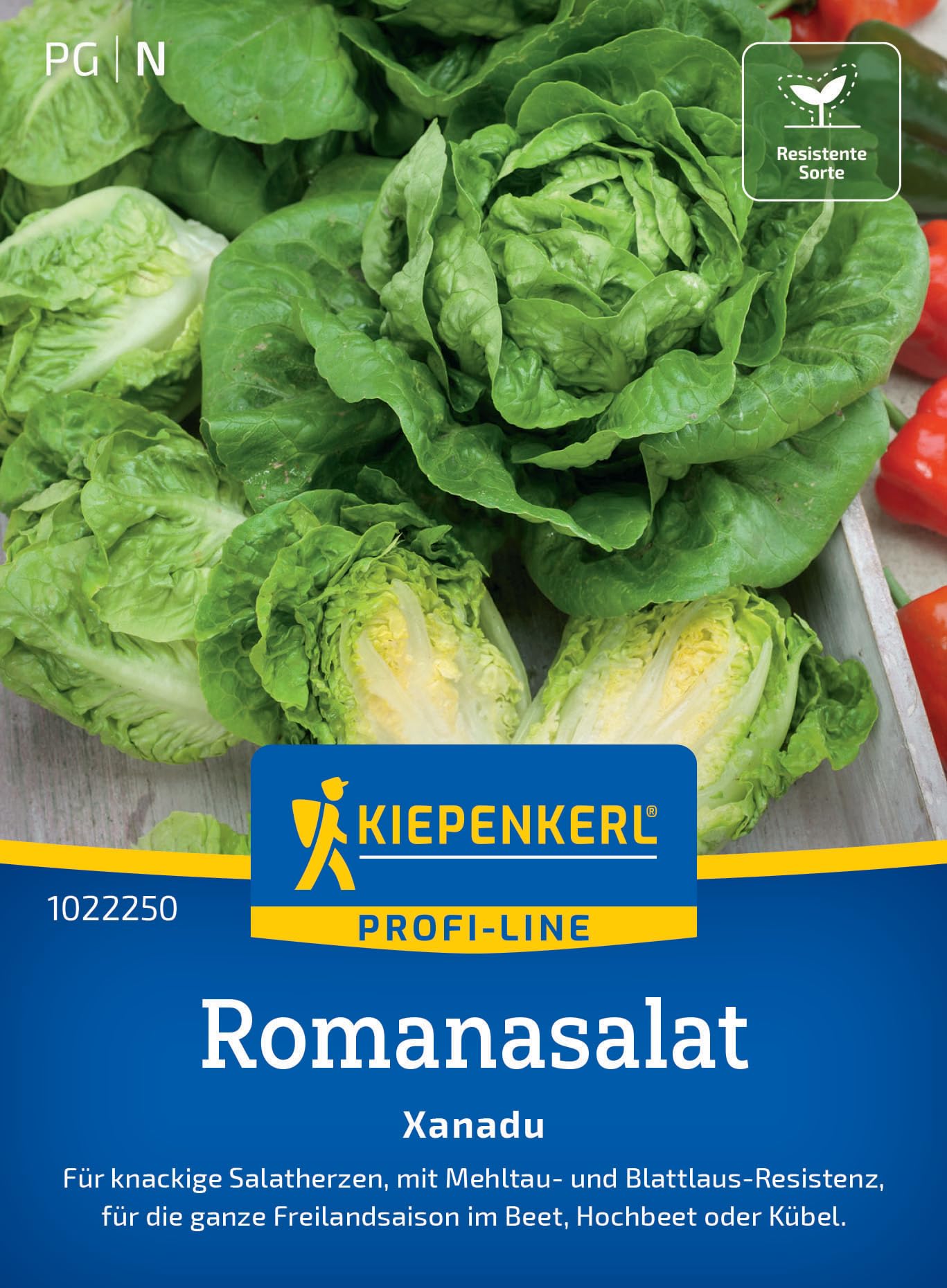 kiepenkerl-pfl-cksalat-rosela-1021710-gem-sesaat image 7