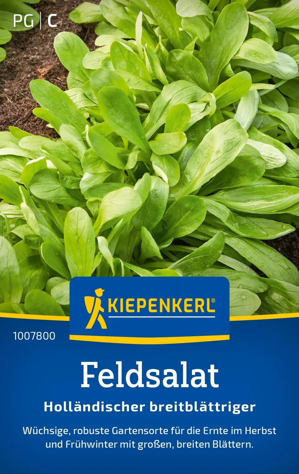 kiepenkerl-feldsalat-holl-ndischer-breitbl-ttriger-saatgut image 1