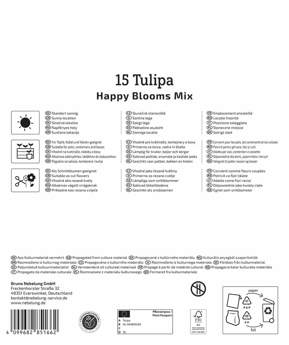 kiepenkerl-mega-pack-tulpenmischung-happy-bloom-mix-2875028-blumenzwiebeln image 2