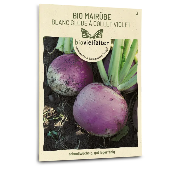 samen-maier-bio-mair-be-blanc-globe-collet-violet-gem-sesamen image 1