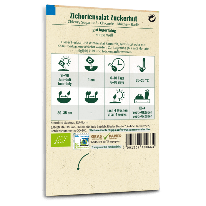 samen-maier-bio-zichoriensalat-zuckerhut-bio-saatgut image 2