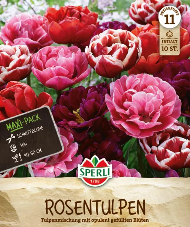 sperli-maxi-tulpen-rosentulpen-mischung-blumenzwiebeln-gef-llt-rosa-rot-50-cm image 1