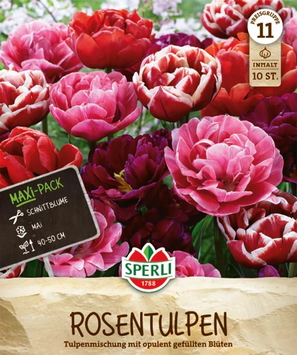 sperli-maxi-tulpen-rosentulpen-mischung-blumenzwiebeln-gef-llt-rosa-rot-50-cm image 1