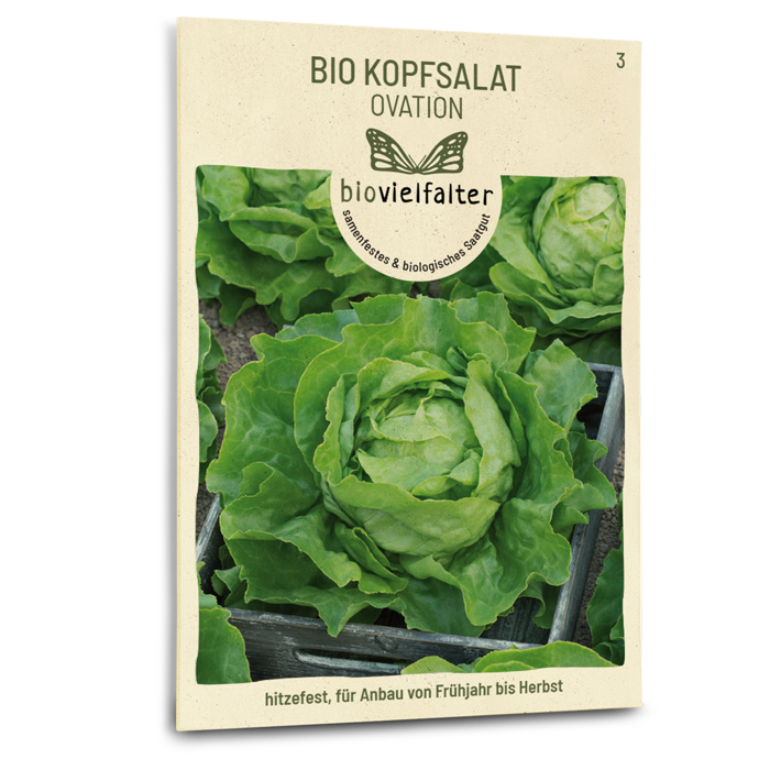 samen-maier-bio-kopfsalat-ovation-saatgut image 1